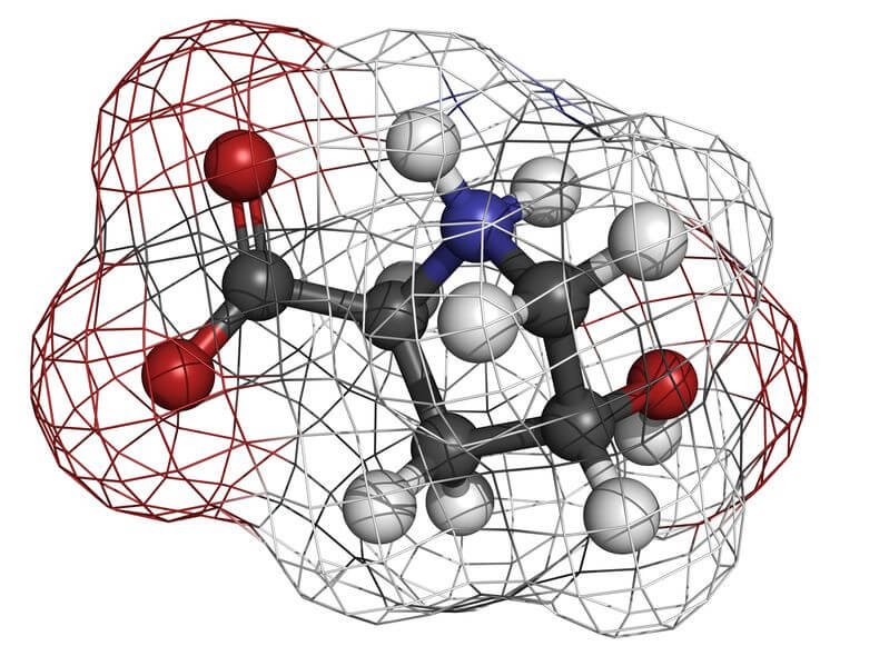 collagen powder