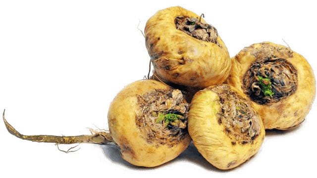 Adaptogens Adaptogens
