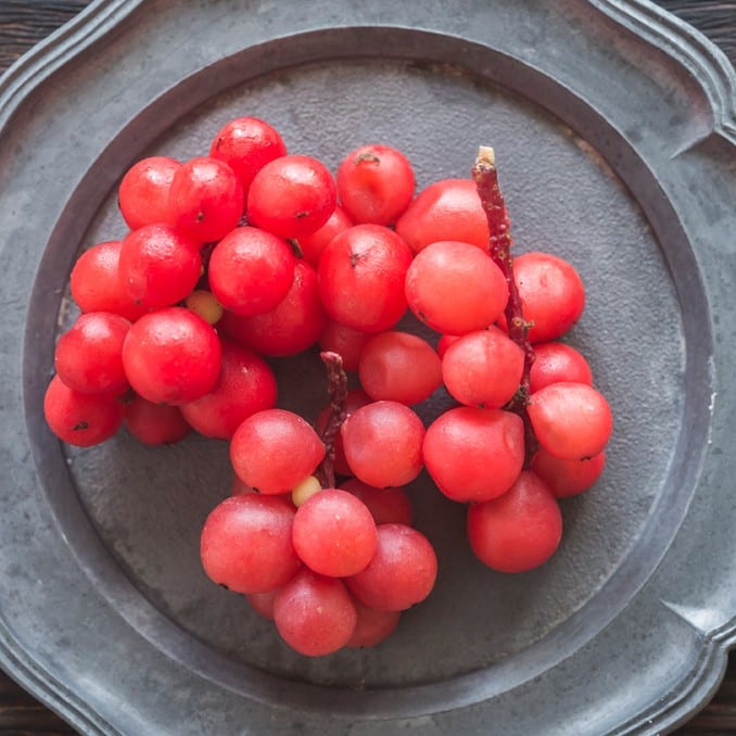 Schisandra has an astringent quality which can protect the skin and improve the appearance of fine lines providing a youthful glow. As an adaptogen, schizandra is a potent general tonic, decreasing fatigue, enhancing physical performance