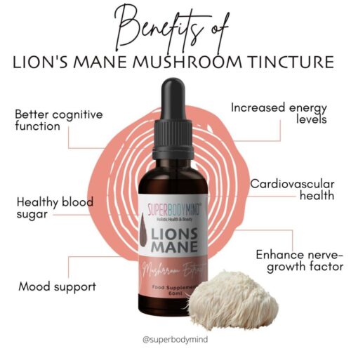 Lion's Mane Mushroom Tincture Ⓥ - 60ml