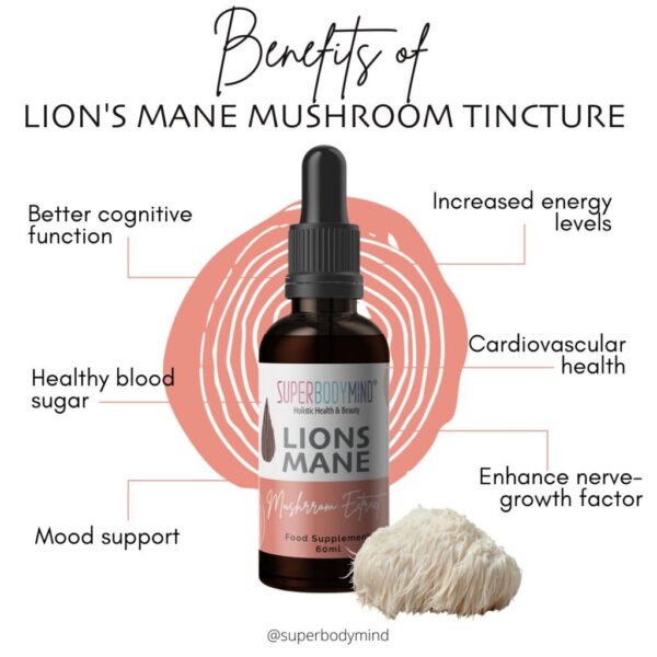best lions mane mushroom tincture
