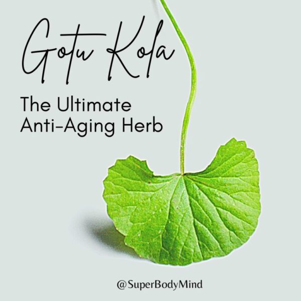 anti aging herb